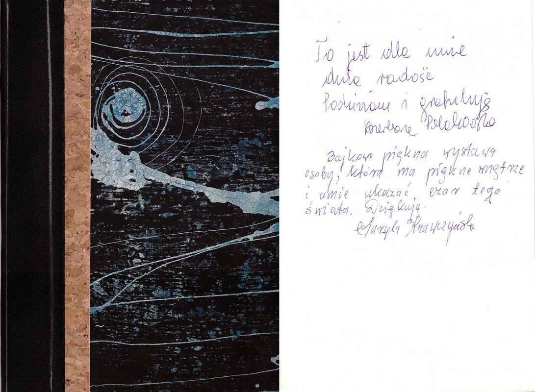 Wystawa INTUICJA, 2016, Miejska Galeria Sztuki Willa Łódź Intuicja, 2016