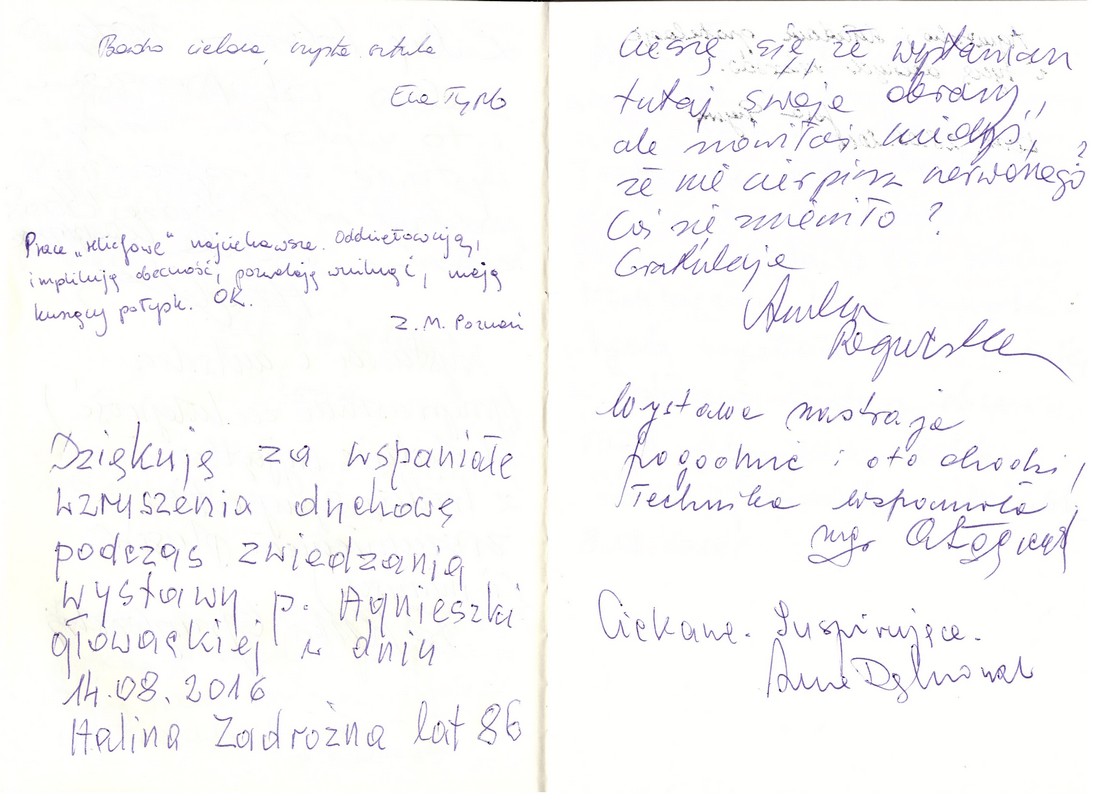 Wystawa INTUICJA, 2016, Miejska Galeria Sztuki Willa Łódź Intuicja, 2016