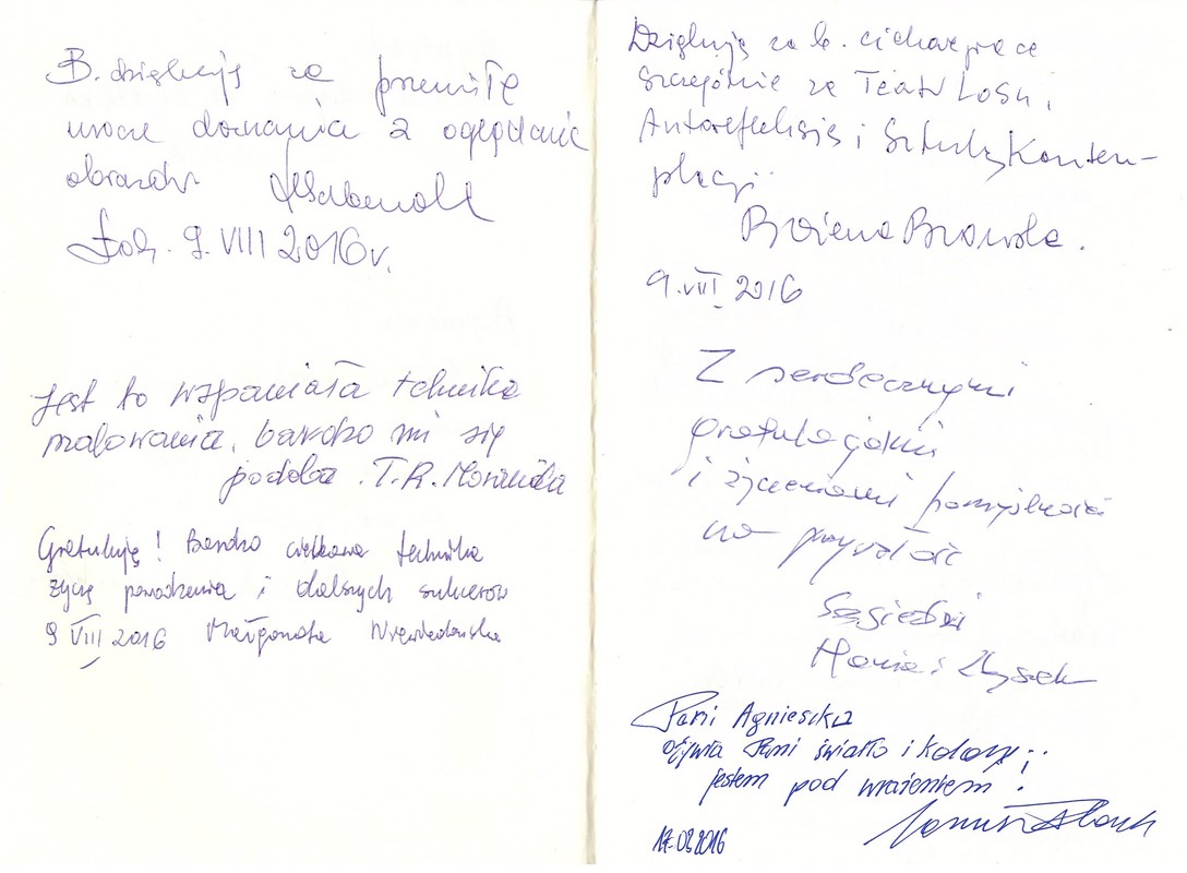Wystawa INTUICJA, 2016, Miejska Galeria Sztuki Willa Łódź Intuicja, 2016