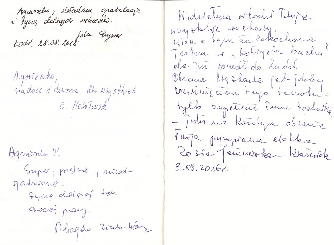 Wystawa INTUICJA, 2016, Miejska Galeria Sztuki Willa Łódź Intuicja, 2016