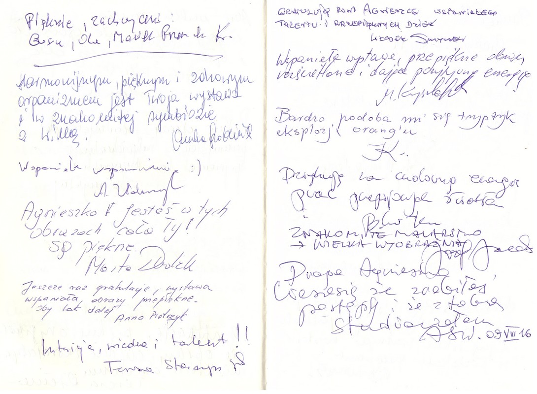 Wystawa INTUICJA, 2016, Miejska Galeria Sztuki Willa Łódź Intuicja, 2016