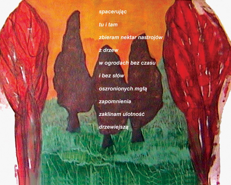 Ogrody Snów...2003 Ogrody Snów...2003