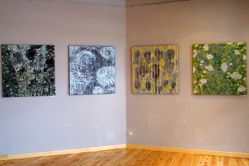 Światłolubne, 2009, galeria Carte Blanche Łódź Światłolubne, 2009